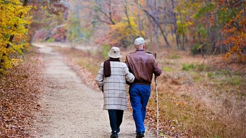 Senior Living Gains Momentum in Gurugram as Developers Bet Big on the Silver Economy